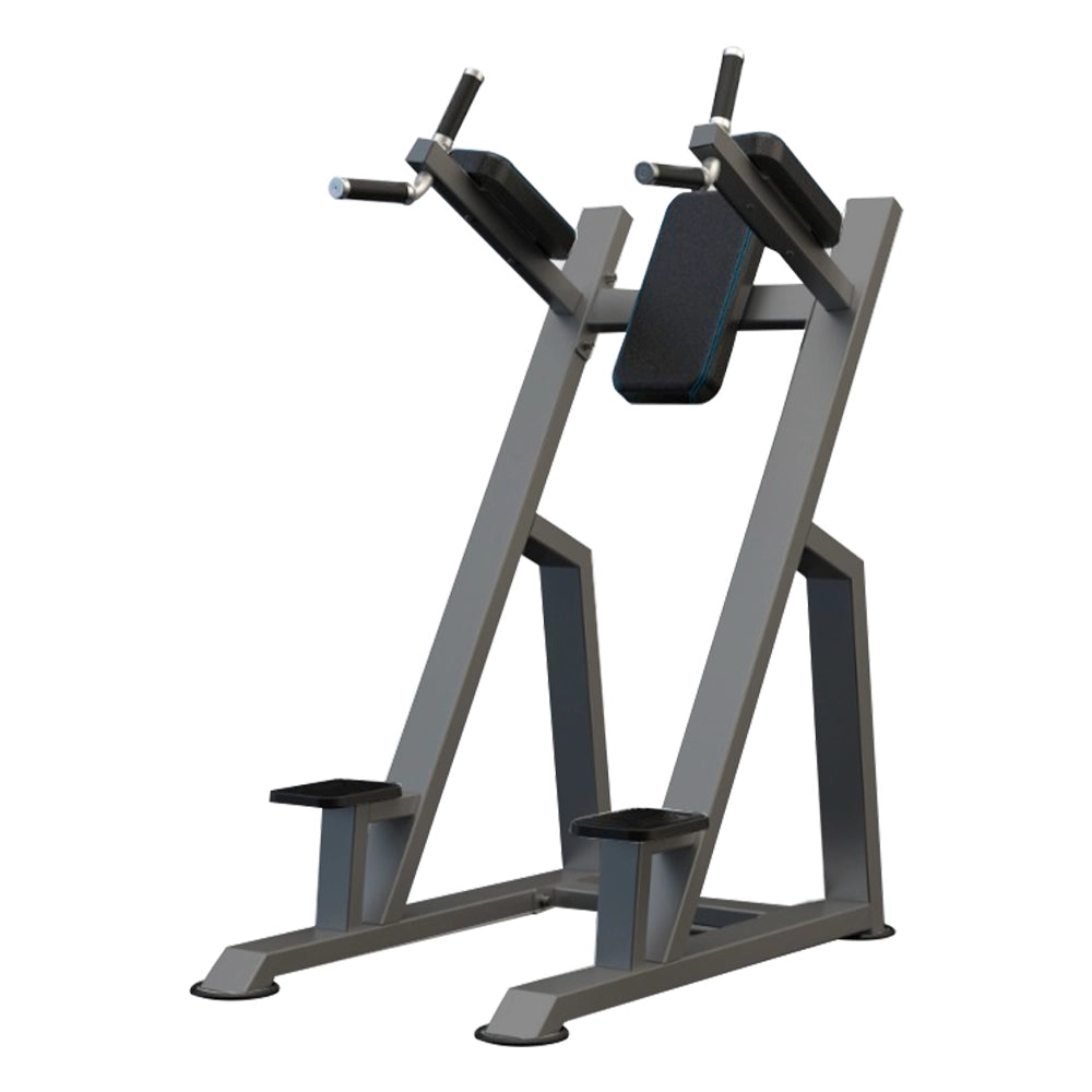 DHZ Fitness Vertical Knee Up U3047