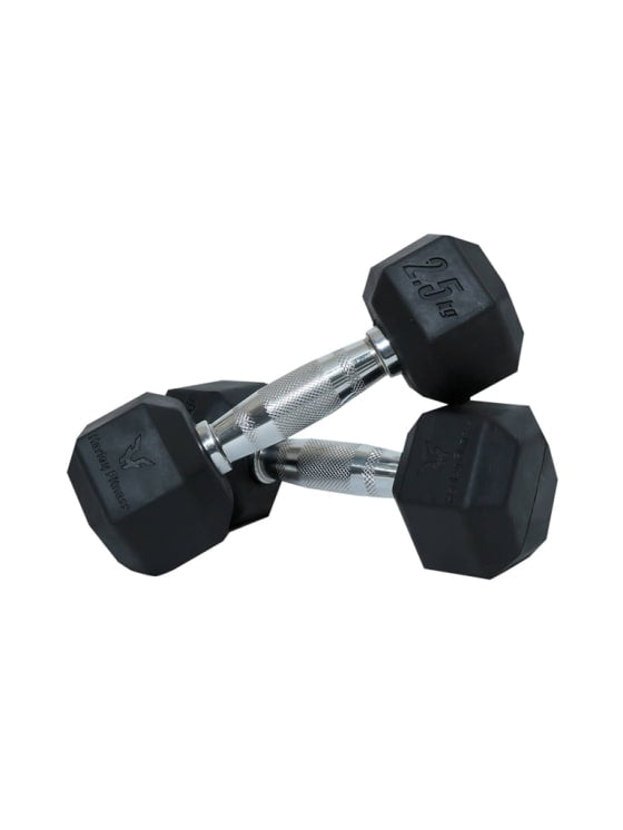Harley Fitness Premium Rubber Coated Bouncing Hex Dumbbells - Pair