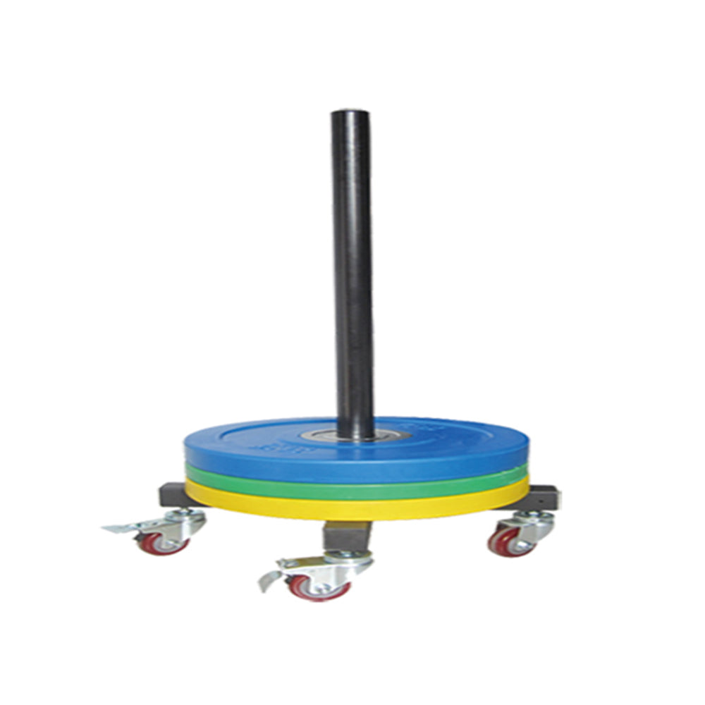 1441 Fitness Bumper Plates Rack