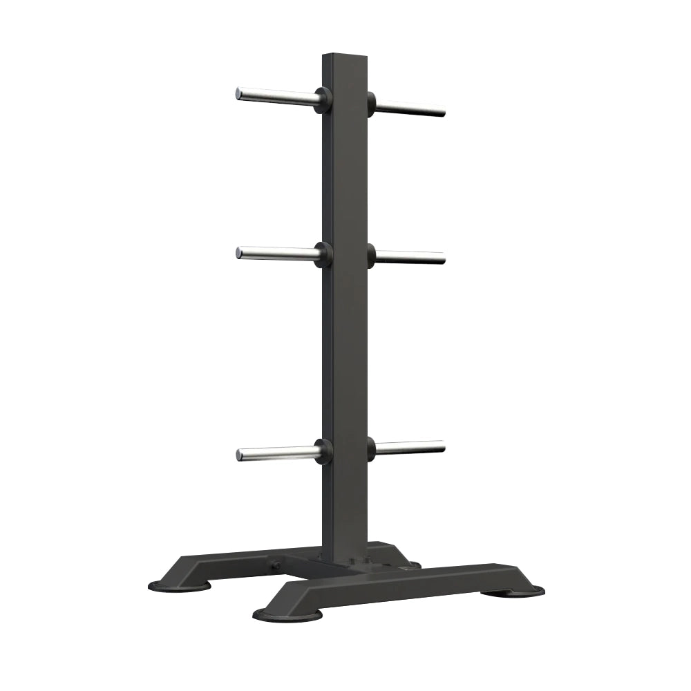 DHZ Fitness Vertical Plate Tree U3054