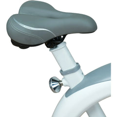 Harley Fitness Dynamic Indoor Exercise Bike