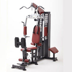 Harley Fitness Multi-Functional Gym