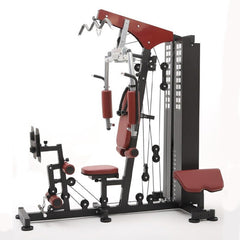 Harley Fitness Multi-Functional Gym