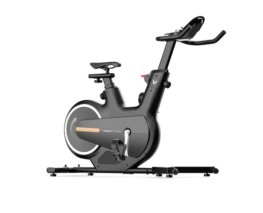 Harley Fitness Spinning Bike