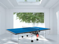 Knight Shot Runcorn Outdoor Table Tennis made in Germany