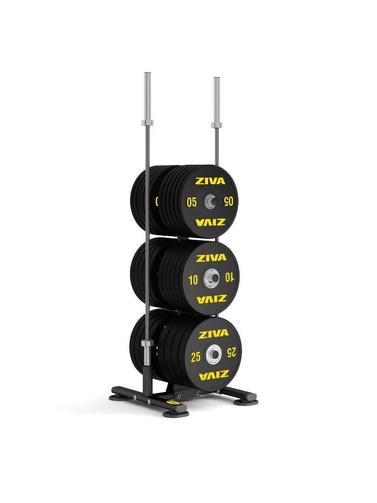 Ziva Disc Storage Rack