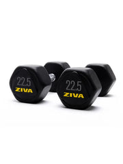 Ziva Performance Hexagon Steel Dumbbells