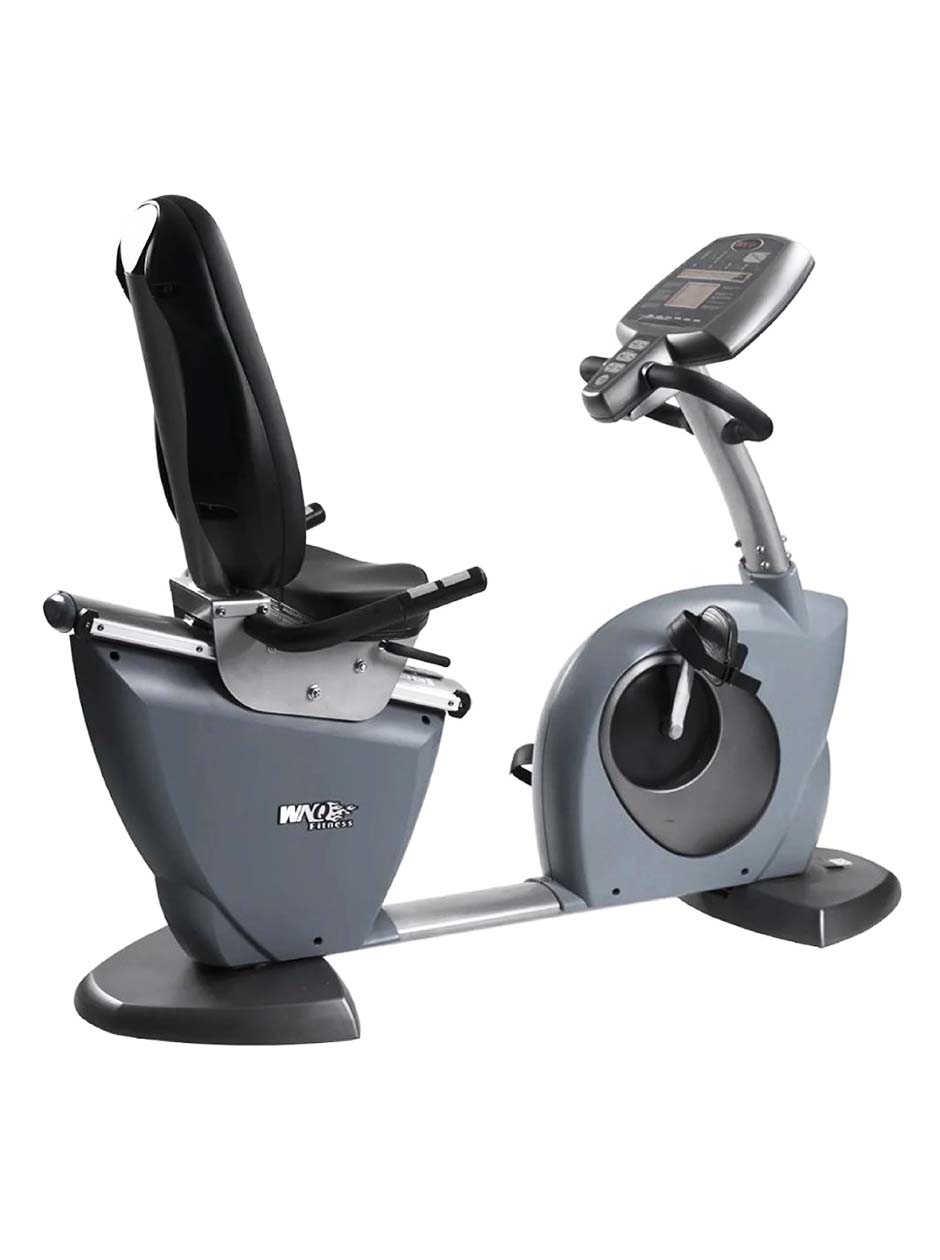 Afton Fitness Commercial Recumbent Bike 8318W