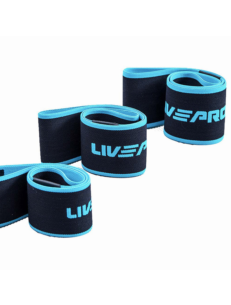 LivePro Resistance Fabric Loop Band - LP8414