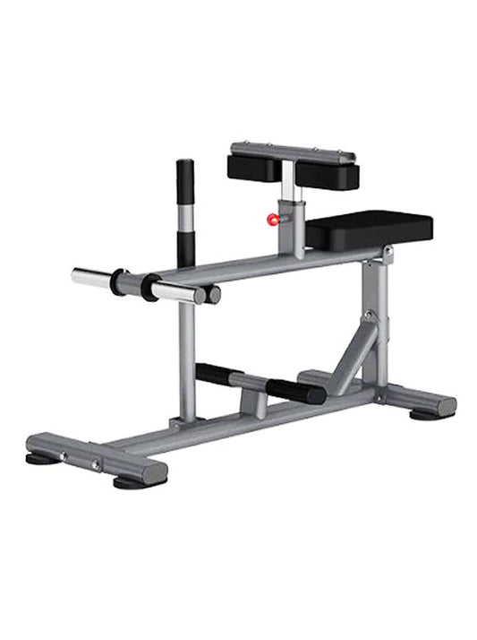 Insight Fitness Seated Calf Raise - DR011