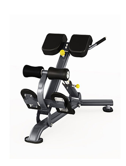 Insight Fitness Back Extension DR010B