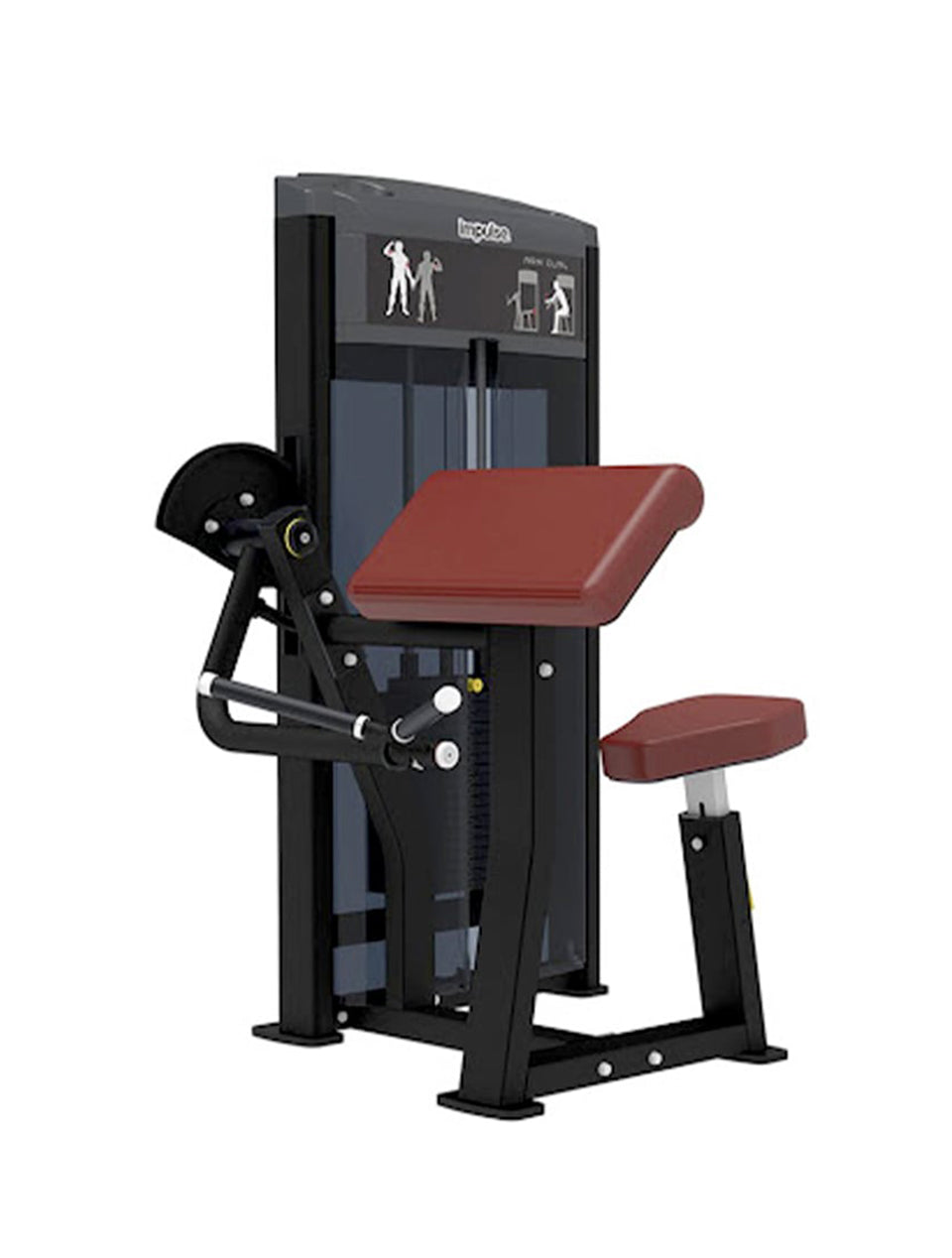 Impulse Fitness Bicep Curl IF9303