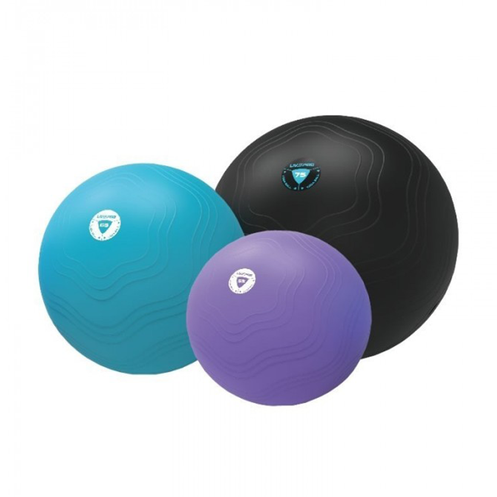Livepro - Anti Burst Core Fit Exercise Ball - LP8201