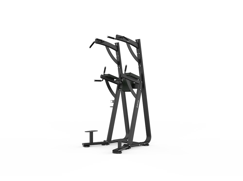 Shua 68 Series Chin Dip Leg Raise Station