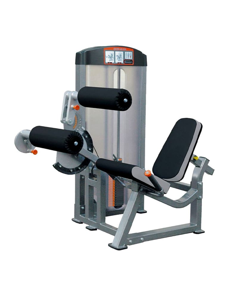 Seated Leg Curl