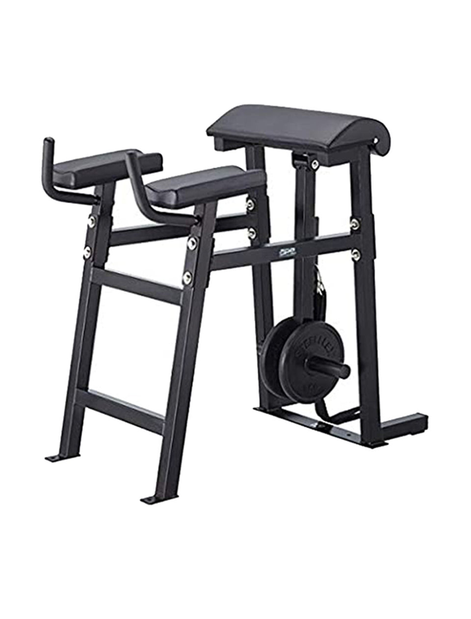 Steelflex  Reverse Hyper Bench-Ape Series RH-1