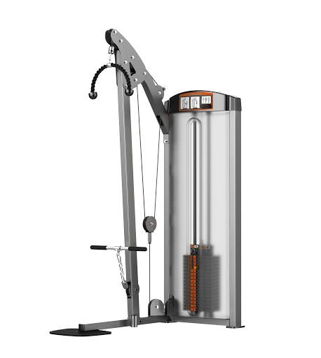 Impulse Fitness Bicep and Triceps Training Machine-IF8123 - Prosportsae.com